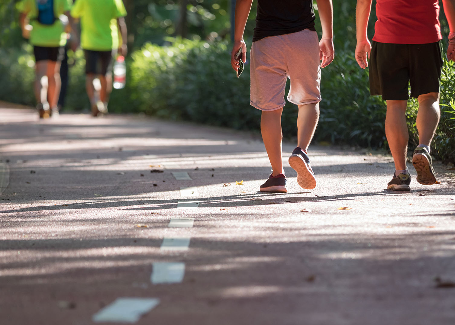 Yolo Active Transportation Corridors Plan