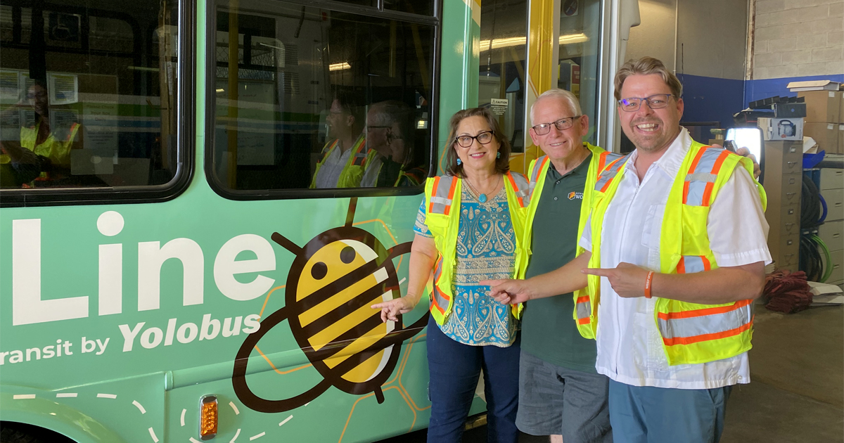 Meet Our Board Members 